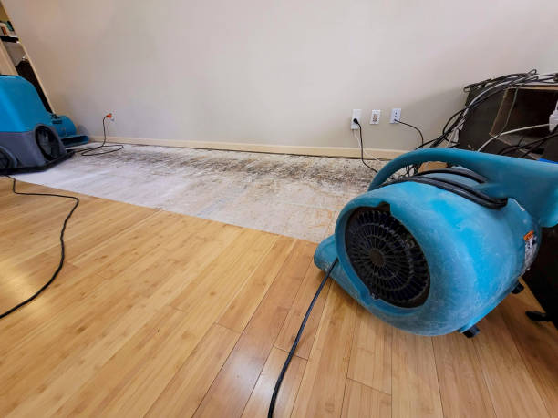 Reliable Basement Flood Cleanup contractor in Covington, WA by Hirex Water Damage