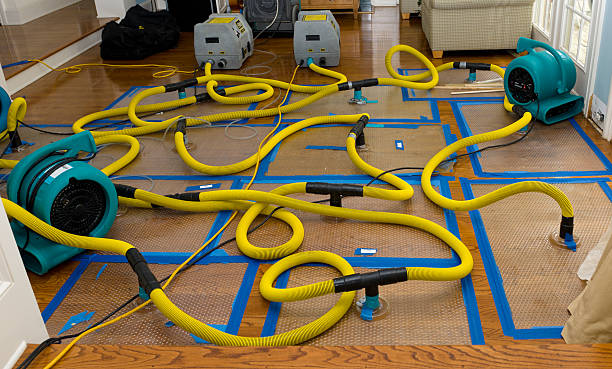 Professional Basement Flood Cleanup technician working in Covington, WA